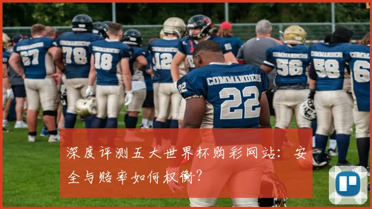 深度评测五大世界杯购彩网站:安全与赔率如何权衡?