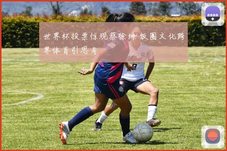 世界杯投票惊现蔡徐坤 饭圈文化跨界体育引思考