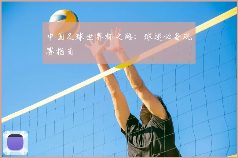 中国足球世界杯之路：球迷必备观赛指南
