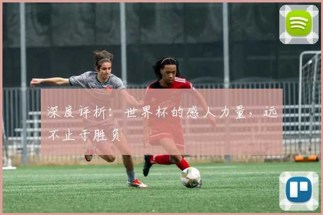 深度评析:世界杯的感人力量,远不止于胜负
