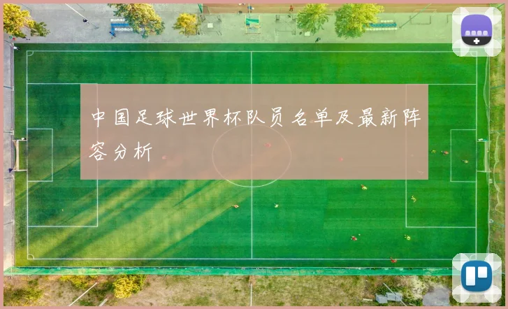 中国足球世界杯队员名单及最新阵容分析