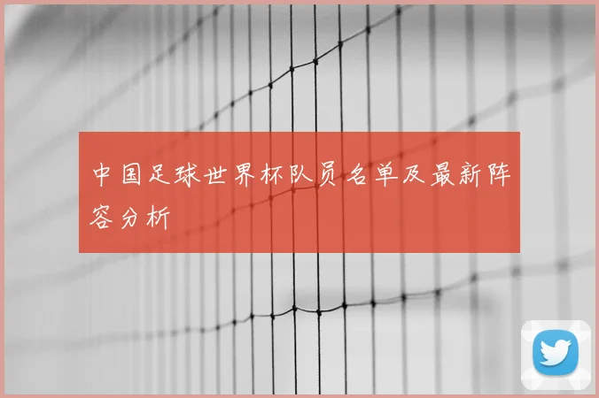 中国足球世界杯队员名单及最新阵容分析
