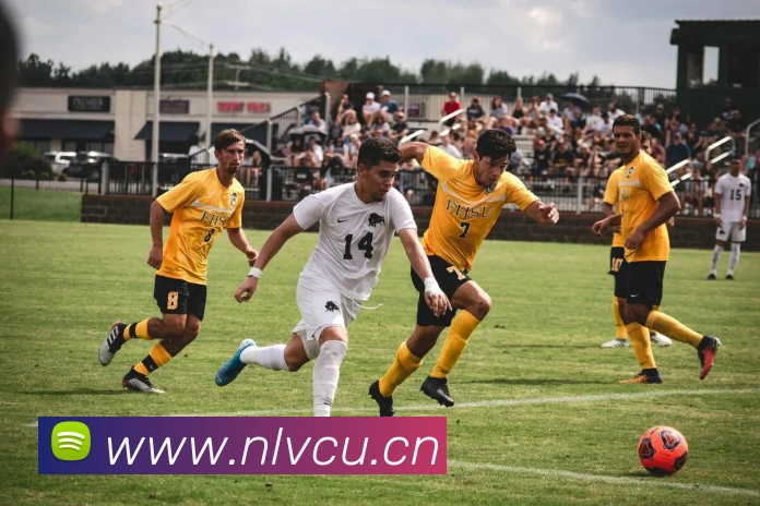 星空网官方入口APP 封面图